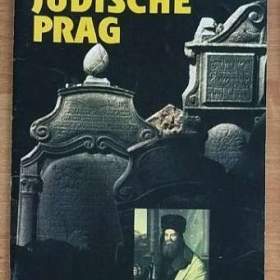 Foto inzerátu Technické a klasické slovníky česko-německé a ruské a další knihy pro němčináře