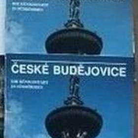Foto inzerátu Technické a klasické slovníky česko-německé a ruské a další knihy pro němčináře