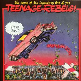 CD -  TEENAGE REBELS / Spirit In The Sky / 18344198