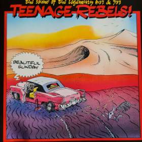 CD - TEENAGE REBELS / Beautiful Sunday / 18344205