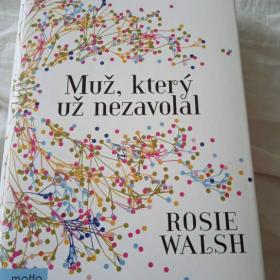 Prodám knihu Muž, který už nezavolal za 300,-  Kč. / 18385477