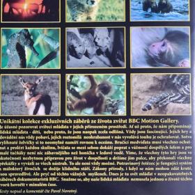 Foto inzerátu DVD - FASCINUJÍCÍ SVĚT ZVÍŘAT / MLÁĎATA