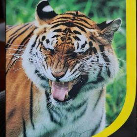Foto inzerátu DVD - FASCINUJÍCÍ SVĚT ZVÍŘAT / V DŽUNGLI A SAVANĚ