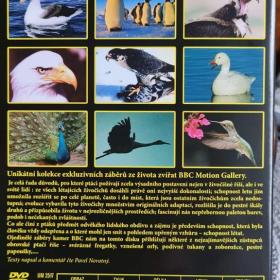 Foto inzerátu DVD - FASCINUJÍCÍ SVĚT ZVÍŘAT / PTÁCI