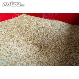 Foto inzerátu mačkač REMET GX200 na obilí cena VČ DPH