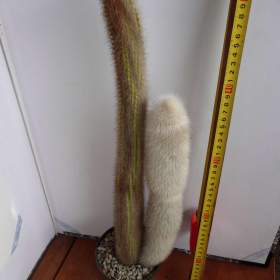 Foto inzerátu Velké kaktusy