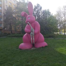 Foto inzerátu Zralý VŠ, 62 – pro pár, který ví, co chce