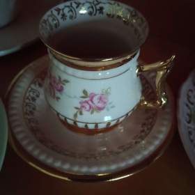 Růžový porcelán / 18563662