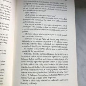 Foto inzerátu Kniha Řetěz