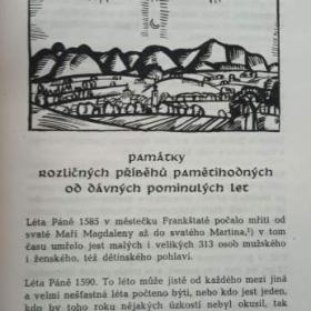 Foto inzerátu Nejstarší kronika města Frenštátu pod Radhoštěm