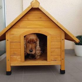 Psí bouda / bouda pro psa / 18640619