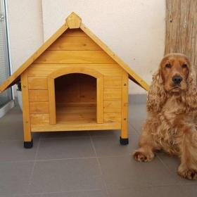 Foto inzerátu Psí bouda / bouda pro psa