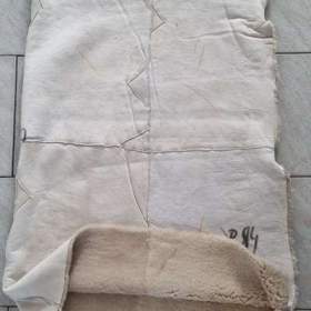 Fotka k inzerátu přírodní pravý beránek / 19309215