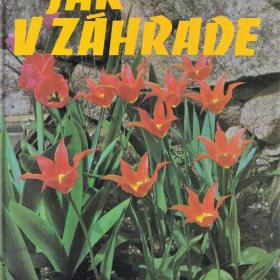 Fotka k inzerátu Jar v záhrade -  mnoho dobrých nápadů / 17462259