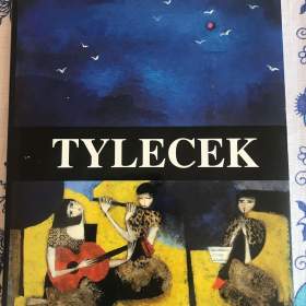 Fotka k inzerátu Kniha Tyleček / 18687176