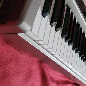 Foto inzerátu Elektrické digitální piano Casio Privia PX-100