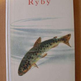 Otakar Štěpánek Antonín Pospíšil Ryby / 18713700