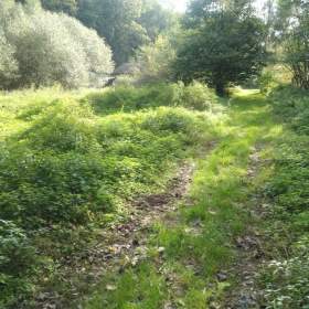 Foto inzerátu Pozemek Ostrava - Plesná.