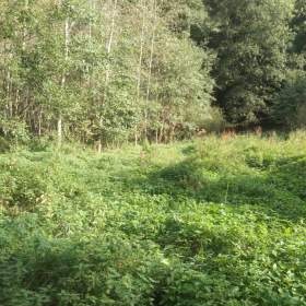 Foto inzerátu Pozemek Ostrava - Plesná.