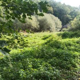 Foto inzerátu Pozemek Ostrava - Plesná.