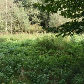 Foto inzerátu Pozemek Ostrava - Plesná.