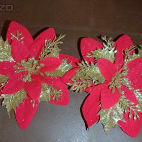 Vánoční růže / 18727191