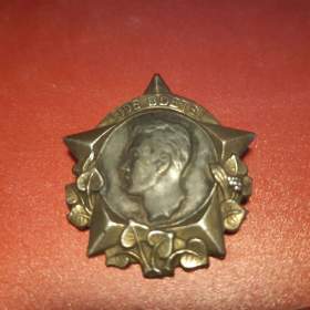 Fotka k inzerátu odznak fučika / 18871245