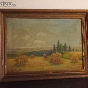 Obraz -  Miloslav Stloukal / 18740363