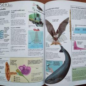 Foto inzerátu Různé dětské knihy, i starší (od 1967)