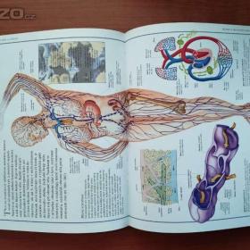 Foto inzerátu Různé dětské knihy, i starší (od 1967)