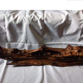 Foto inzerátu Kořen 62 do akvária / terária