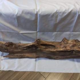 Foto inzerátu Kořen 62 do akvária / terária