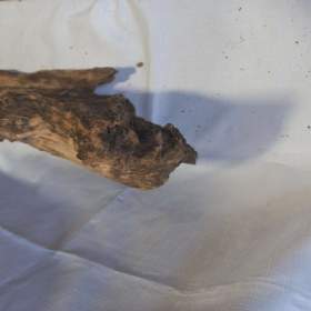 Foto inzerátu Kořen 62 do akvária / terária