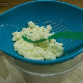 Foto inzerátu Tibetská kefírová houba, zdroj probiotik, skvělá na imunitu.