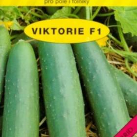 Okurka salátová do fóliovníku Viktorie F1 (semena) / 18805964