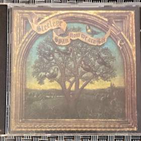 Fotka k inzerátu Steeleye Span -  Now We Are Six, Hudební album CD  / 18809505