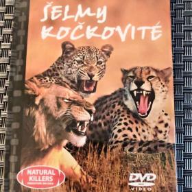 Šelmy kočkovité , Boj o přežití , DVD orig. nerozbalené a nepoužité / 18809511