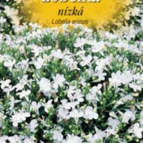 Lobelka drobná nízká, bílá (semena) www. levna- semena. cz / 18810788