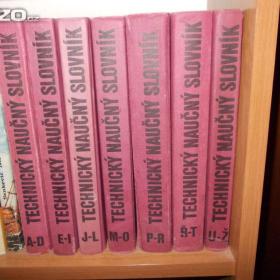 Fotka k inzerátu Prodám Technický naučný slovník / 18611113