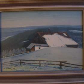 Fotka k inzerátu Obraz -  Medek / 19353902