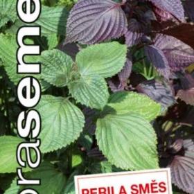 Perila křovitá, chuť Asie (semena) levna- semena. cz / 18834997