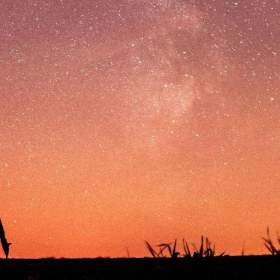 Foto inzerátu Stativ Berlebach Mulda Tripod Vintage