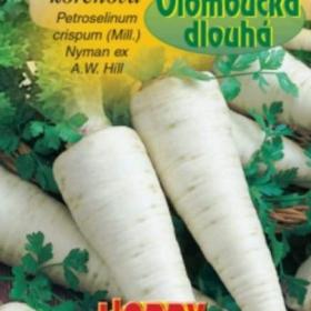 Petržel kořenová Olomoucká dlouhá (semena) levna- semena. cz / 18842109