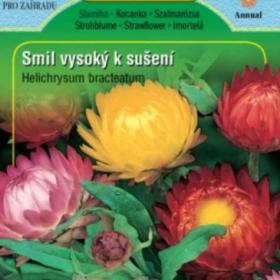 Smil vysoký k sušení (semena) www. levna- semena. cz / 18848476