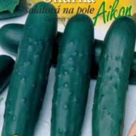 Okurka salátová na pole AIKON F1 (semena) levna- semena. cz / 18859704