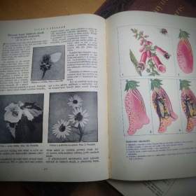 Foto inzerátu Encyklopedie Československé mládeže     ČSR