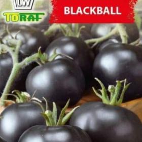 Rajče tyčkové černé, Blackball (semena) www. levna- semena. cz / 18894213