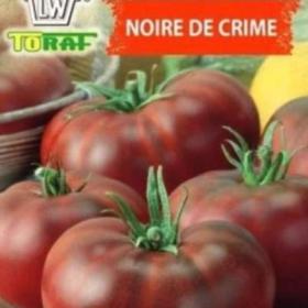 Rajče tyčkové, hnědé -  Noire de crimee (semena) www. levna- semena. cz / 18894236