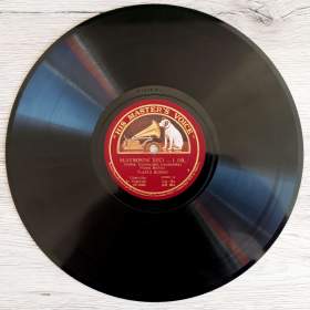 Fotka k inzerátu Vlasta Burian -  šelaková gramofonová deska z roku 1928, rare / 18901471