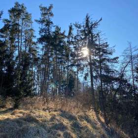 Foto inzerátu Pozemky a molo u Slapské přehrady  